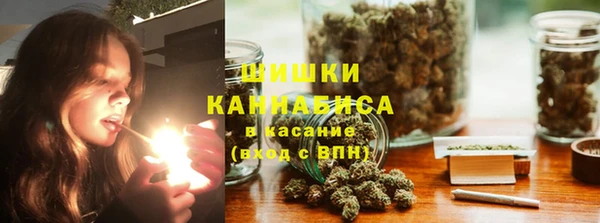 соль ск Вяземский
