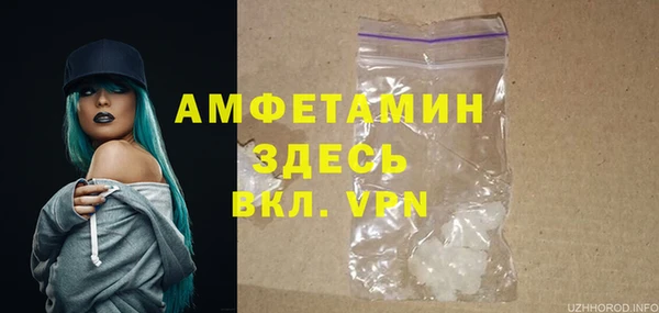соль ск Вяземский