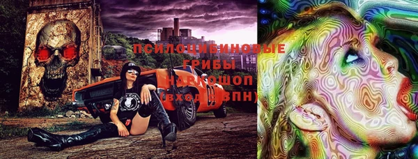 молекула духа Вязьма
