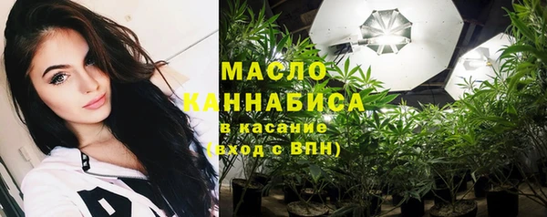 молекула духа Вязьма