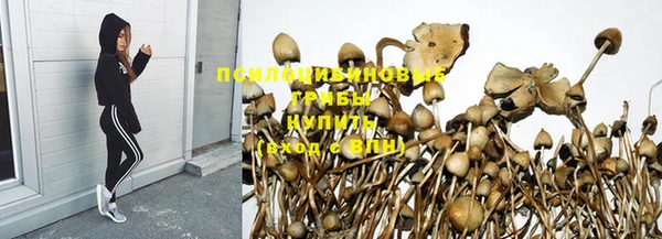 соль ск Вяземский