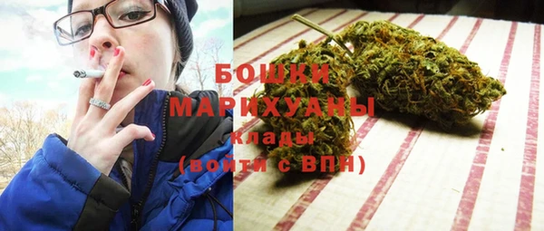 соль ск Вяземский