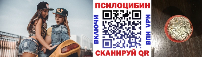 Галлюциногенные грибы MAGIC MUSHROOMS shop как зайти Набережные Челны